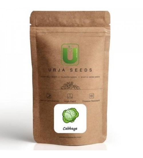 Cabbage / Patta Gobi Hybrid US-192 50 grams